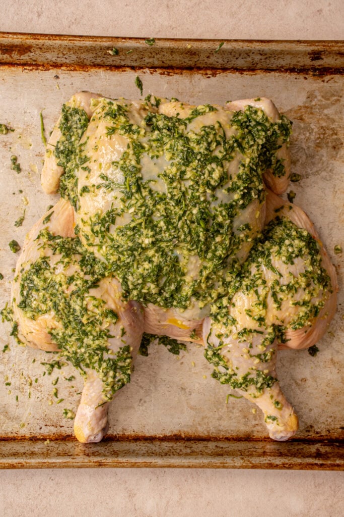 Fresh herbs and olive oil slathered all over a spatchcocked raw chicken on a sheet pan.