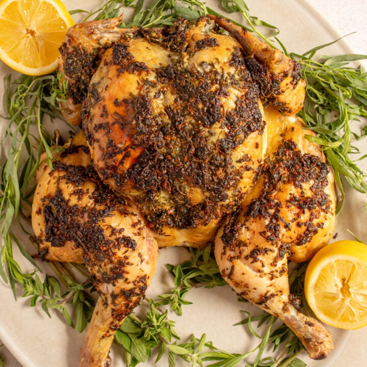 A garlic herb butterflied roast chicken on a white serving platter surrounded by fresh herbs.