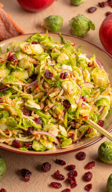 A serving fork in a brown bowl filled with Shredded Brussel Sprout Apple Salad with dried cranberries and red onions.