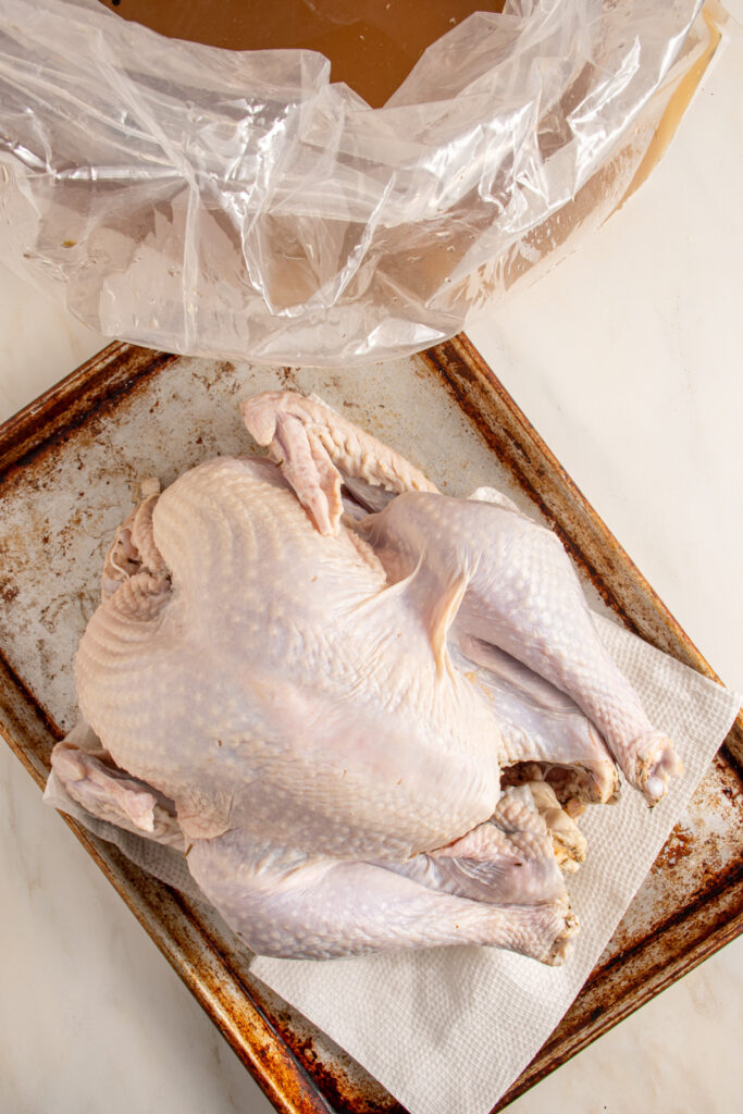 A brined turkey on a paper towel lined sheet pan.