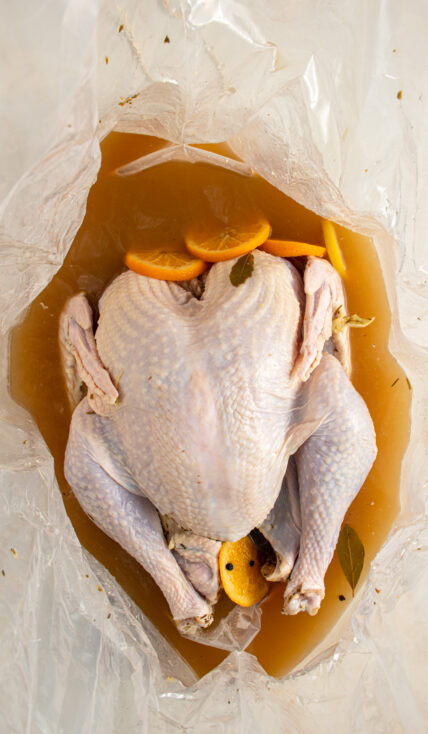 A turkey in apple cider turkey brine after resting for over 12 hours.