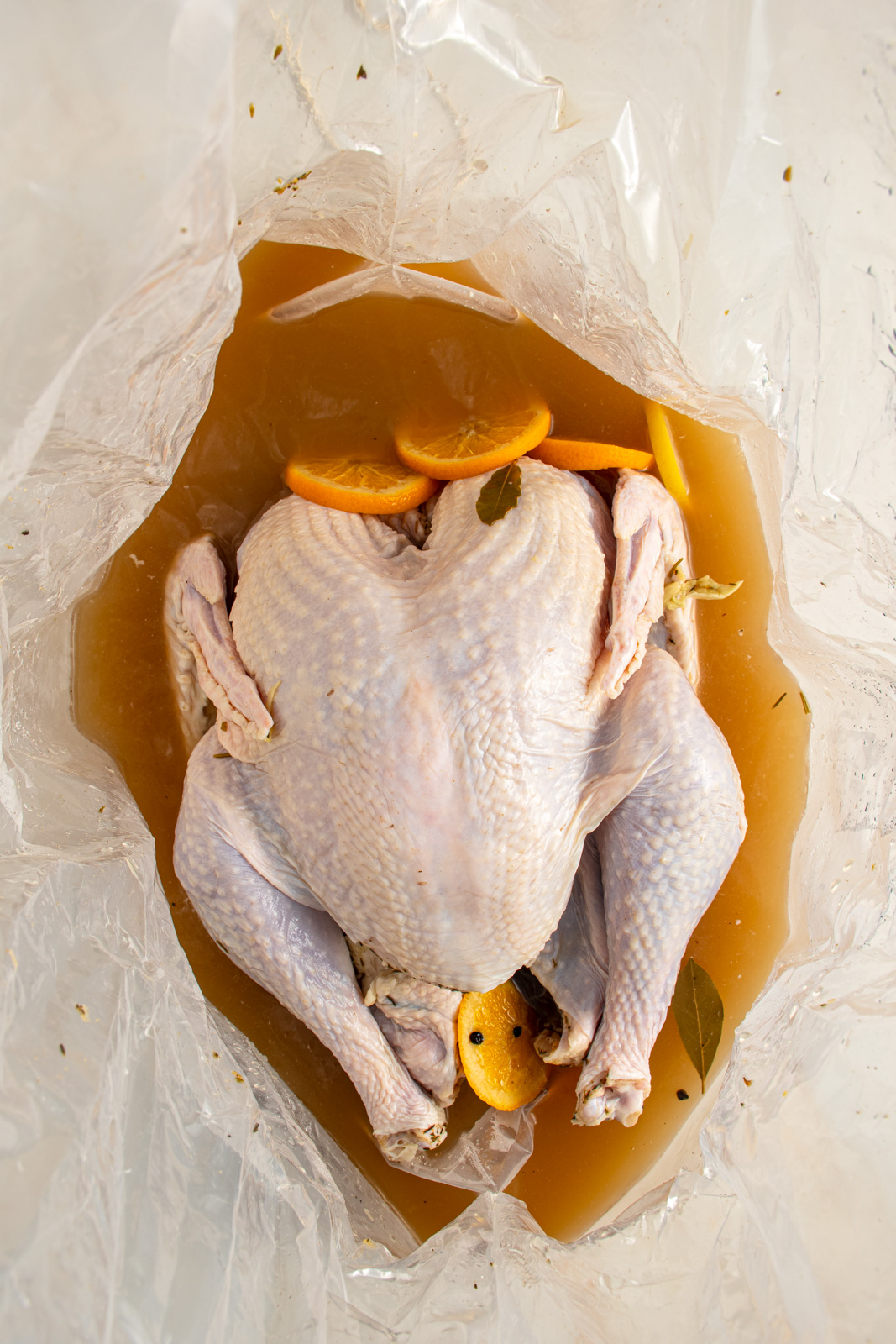 A turkey in apple cider turkey brine after resting for over 12 hours.
