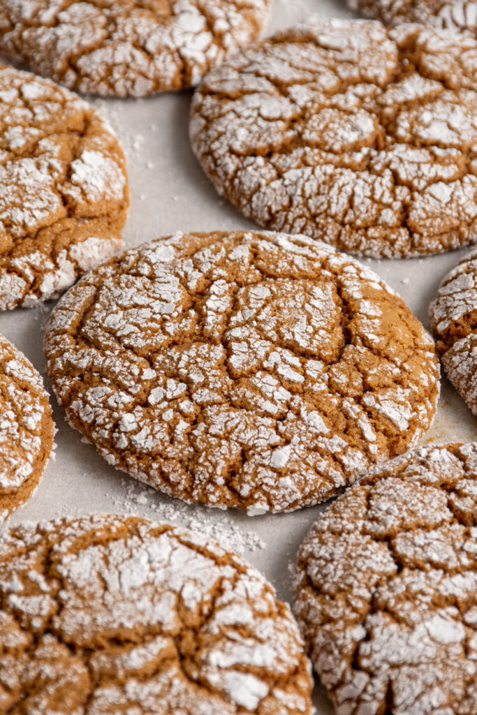 Close up of a gingerbread crinkle cookie on a tray showing off its cracks in the powdered sugar.